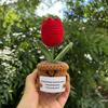 Handmade Crochet Flower Sunflower Potted Knitted Wool Ornament Auto Interior Funny Stress Relieving Decor With Positive Card