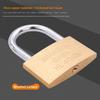 Padlock Copper Padlock Small Lock Head Long Beam Head Open Lock Door Lock Warehouse Lock