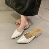 Fashion Shoes Female 2024 Sexy Pointed Toe Female Mules Fashion Warm Women's Fur Slippers Comfortable Square Heel Winter Daily Slippers
