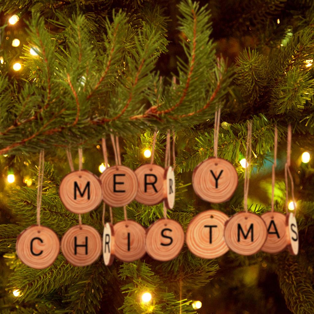 30pcs Natural Wood Slices Unfinished Wooden Log Kit Predrilled Wood Chip with Rope Round Wooden Circles for Arts Painting DIY