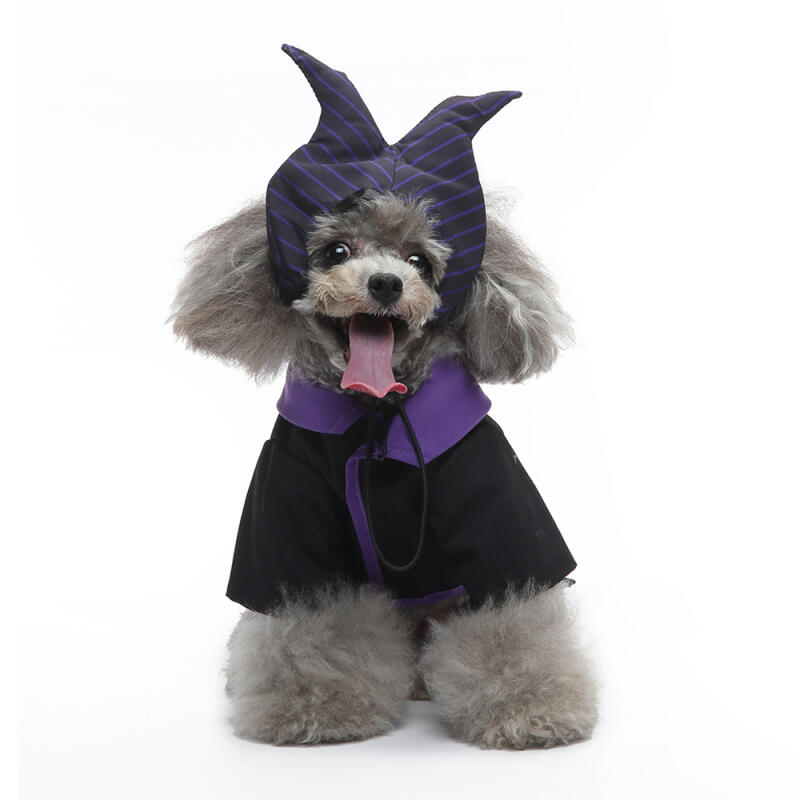 Witch Costume Clothes Headband Set Dog Costume S