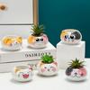 Table Decor Ornament Flower Planter Garden Supplies Bonsai Accessories Flowerpot Succulent Potted