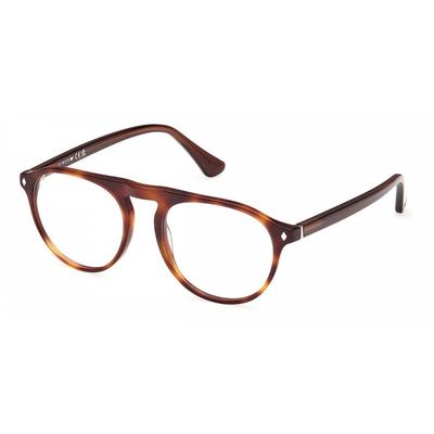 Web We5429 056 Herren Brillen