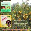 Blue Thrips Killer: Sticky Pheromone Insect Trap Boards