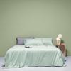 Belle Anna Mica Cool-Feel Silk Summer Quilt