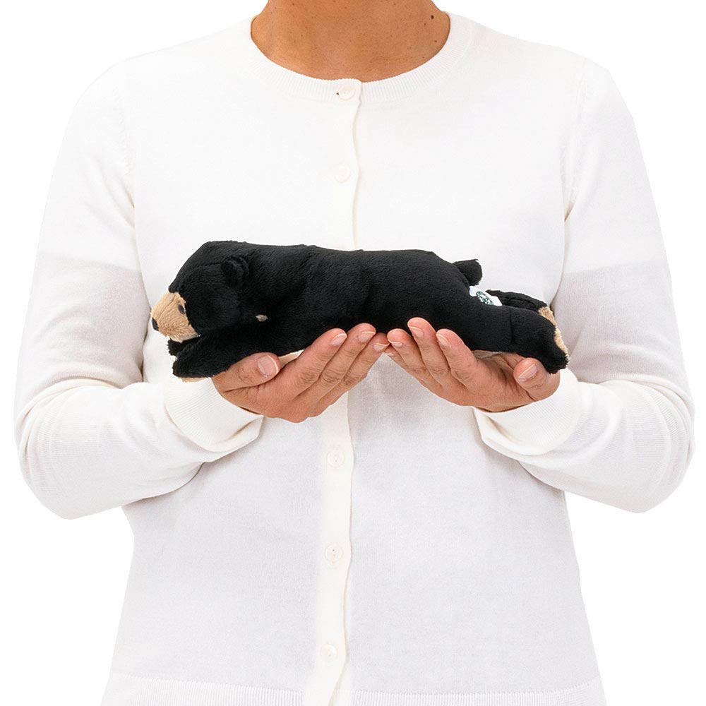 Calorata Malayan Sun Bear Plush Toy Realistic Bear Animal Toy Doll Gift Present Birthday Christmas Present (Nestling Series/Soft Touch) (Twice Tested)