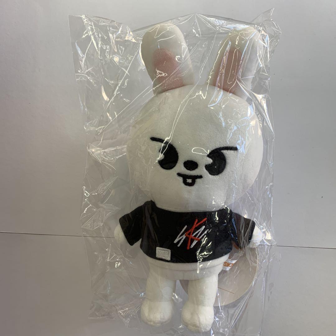 

[USED] SKZOO original