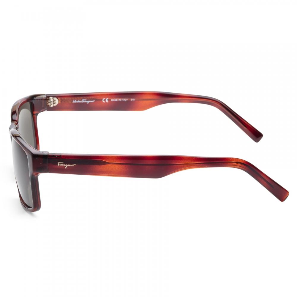 Ferragamo Lunettes de soleil pour femmes faShion 58mm écaille