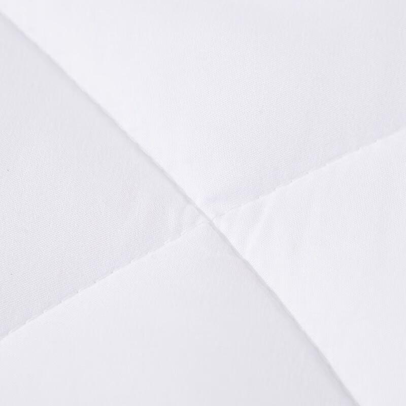 LOVO Anti-Mite All-Season Quilt