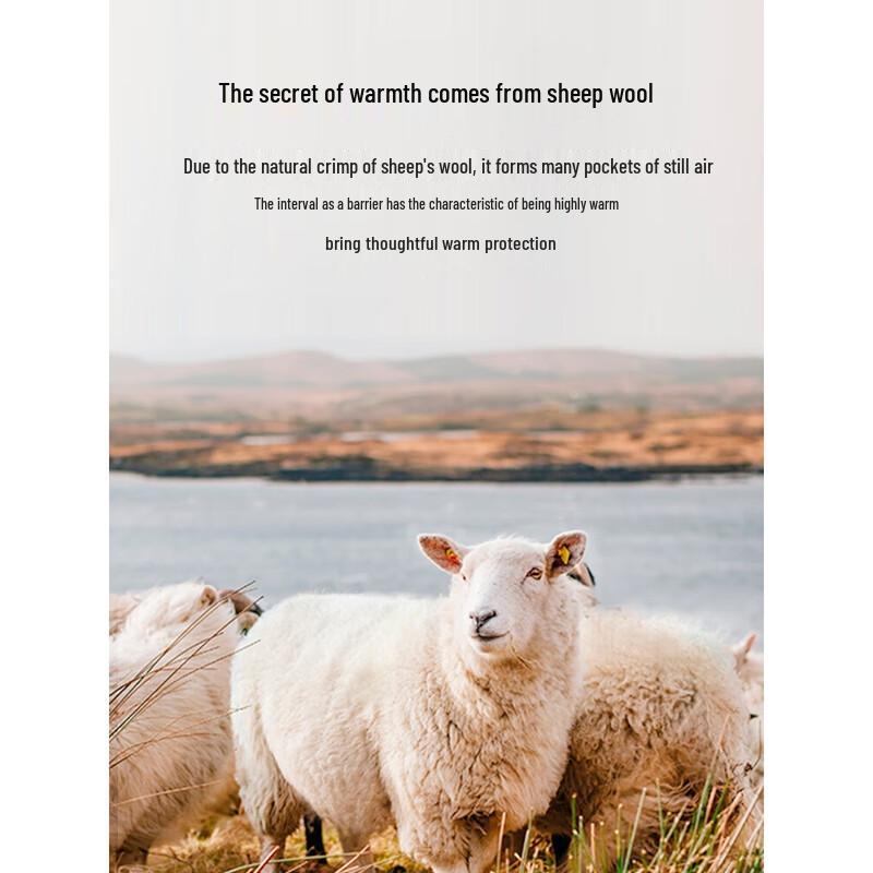 Cai Zi Men's Jacquard Embroidered Round Neck Pullover Sweater