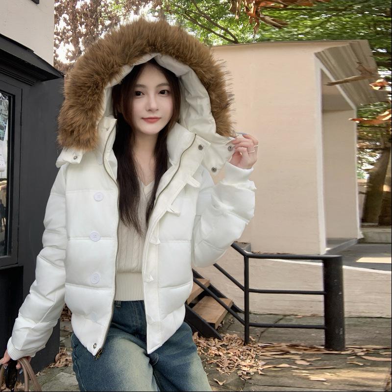 Winter new hooded cotton-padded clothes, cotton-padded clothes are thin and simple, big fur collar short coat women