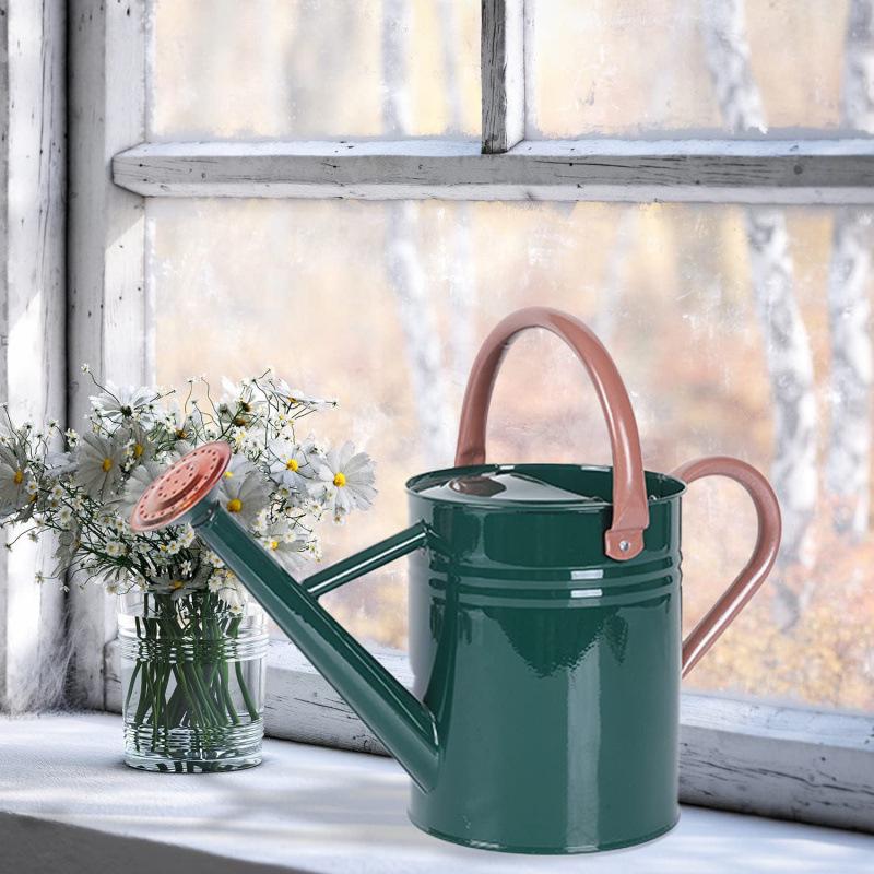 4L Premium Dual-Use Watering Can for Flowers (European & American Style)