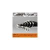Daiwa Liberty Club Isokaze K Fishing Rod 1.5m Length 45g Weight Casting Rod