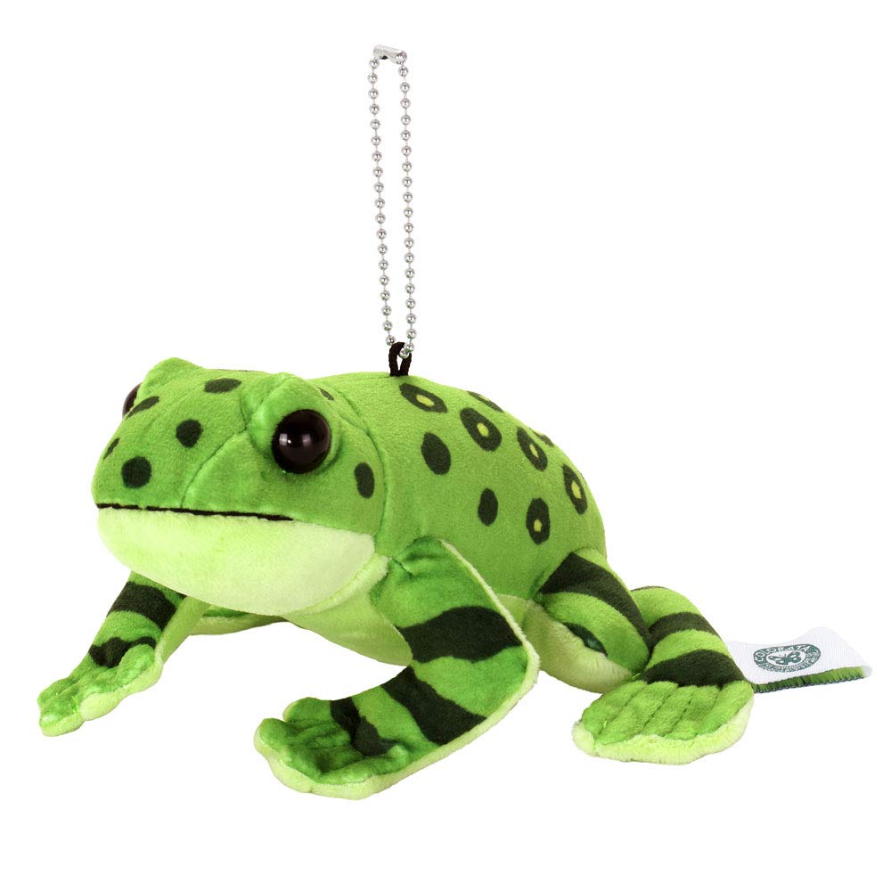 Carolata Plush Toy Mascot Okinawan Shikawa Frog (Yanbaru Creaturewith Chain) Realistic Frog Keychain Doll Gift (Twice Tested)  Christmas Present