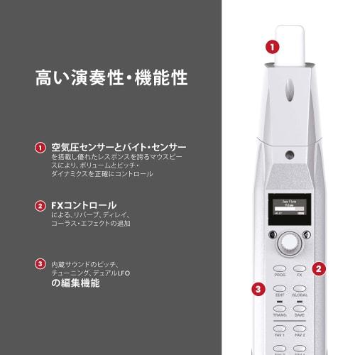 Akai Professional EWI Solo Wind Synthesizer, Electronic Wind Instrument with Built-in Speaker, Rechargeable, 200 Voices, and Breath Sensor, White