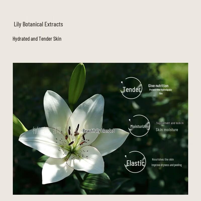 Asaka Lily Amino Acid Moisturizing Body Wash