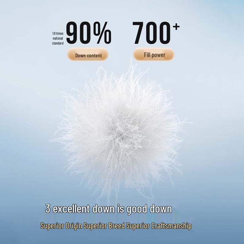 BOSIDENG B250131024 Diamond Quilted Stand-Collar Down Jacket