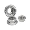 304 Stainless Steel Hex Flange Nut