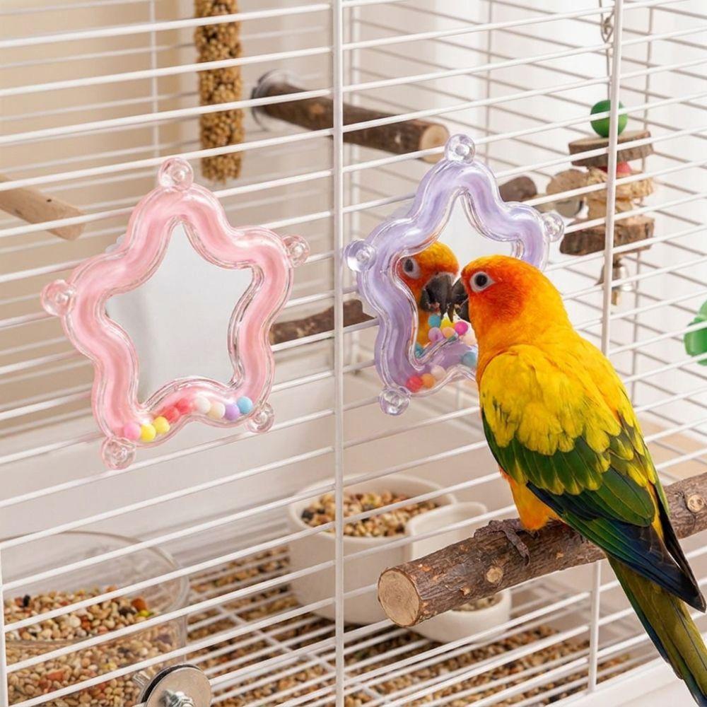 Colorful Beads Star Rotating Parrot Mirror Toy Mirror Parrot Interactive Toy  Bird Supplies