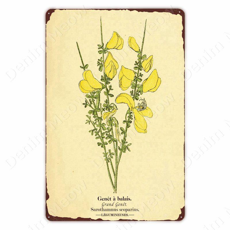 VintageWildFlowersMetalSign Vintage Metal Tin Sign - Wild Flowers Plant Herbarium Art Plaque, Kitchen/Home Wall Decor