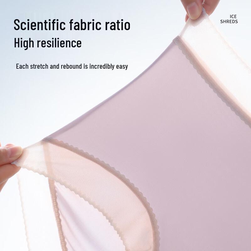 Tingmei Women's Plus Size High-Waist Seamless Antibacterial Briefs (4-Pack)