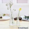 European Glass Vase for Fresh or Dried Flowers - Elegant Hydroponic Decoration Ornament