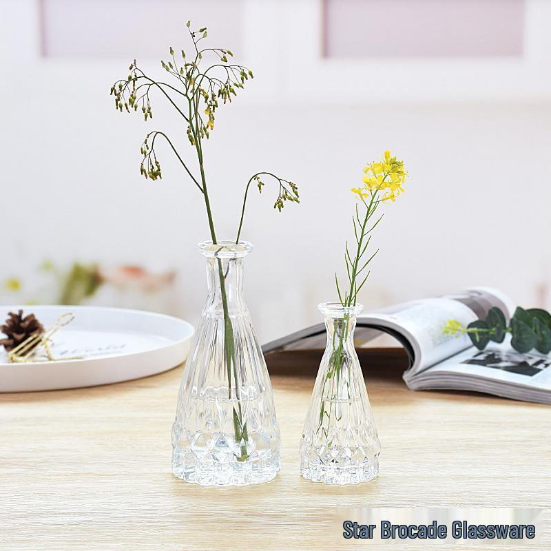 European Glass Vase for Fresh or Dried Flowers - Elegant Hydroponic Decoration Ornament