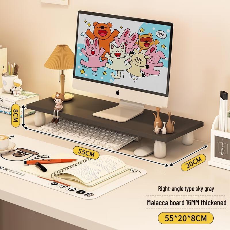 Desktop Monitor Riser with Storage Organizer