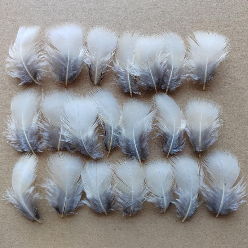 50Pcs- NATURAL Beige &Grey Chukar Partridge Hen Feathers  3-7CM Long for Craft Millinery Fly Fishing,4 Models Available