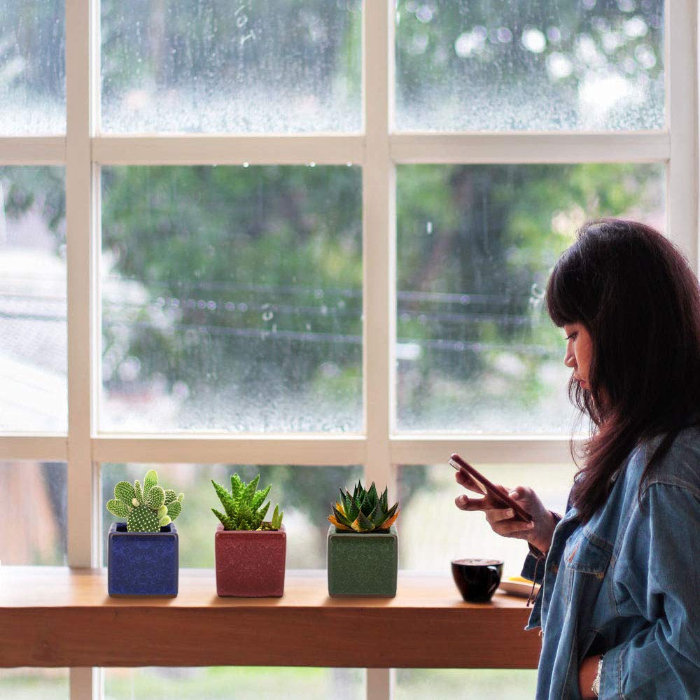 Lewondr Keramiske Plantepotter for Vindu og Miniatyrstørrelse Sett inkluderer potter SquareIceCrack 6-Deler Sukkulenter, Bonsai, Behandlinger, Planter, 2,