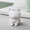 Cat Pen Holder, Cute Kitty Desk Organizer for Stationery Storage, Large Capacity Pencil Stand for Office Home, Creative Storage Box Gift