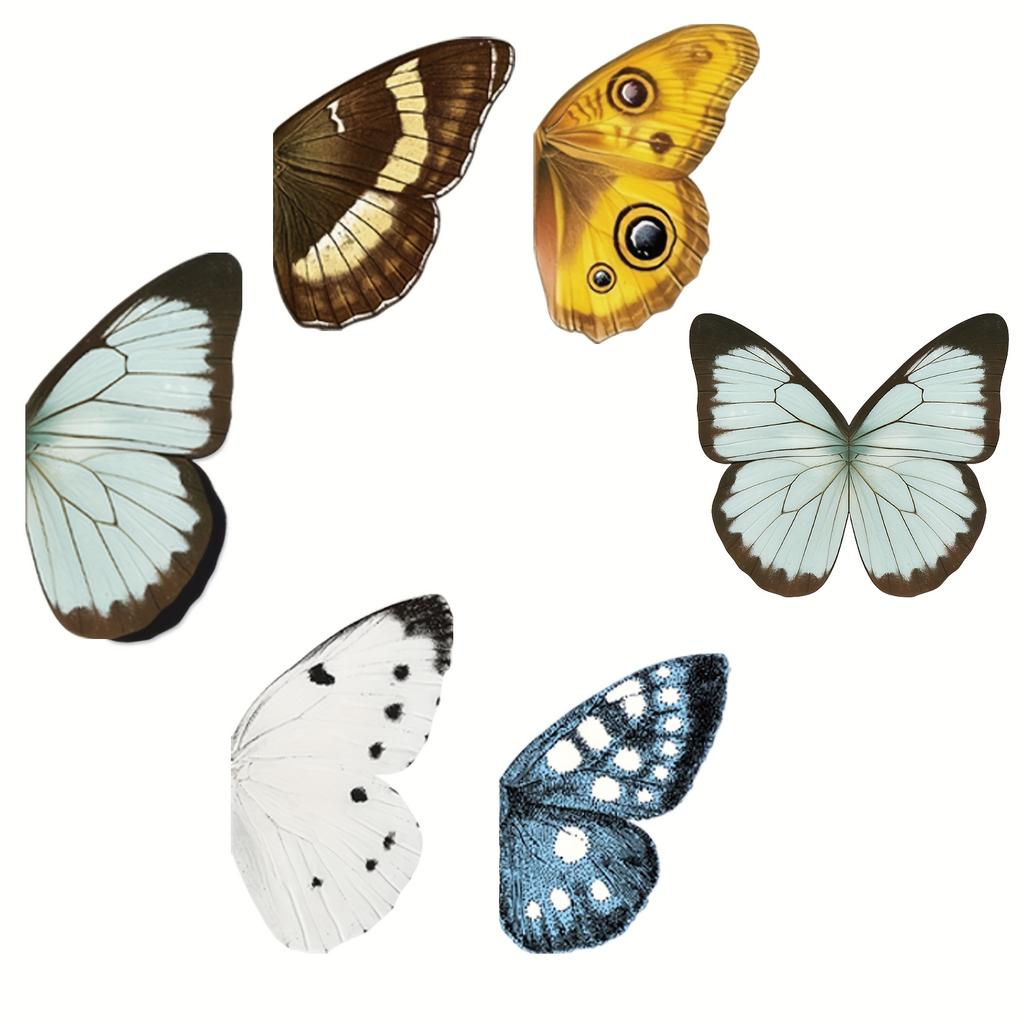 Set of 5 Vintage Butterfly Magnetic Bookmarks, Double-Sided Page Markers, Perfect for Book Enthusiasts