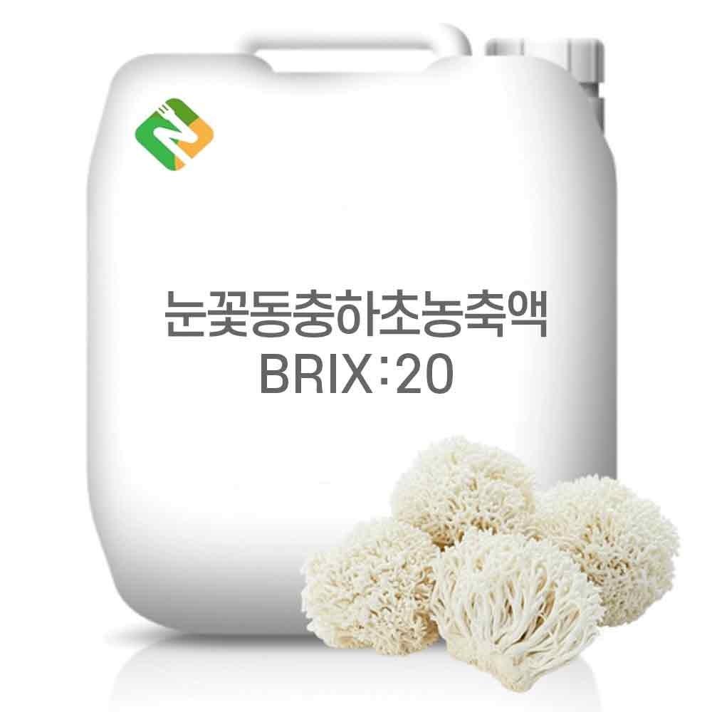 Snowflake Cordyceps Concentrate 20 Brix 200g Sample 1 pcs