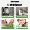 Kaninchen Füttermatte Schnüffelspielzeug für Kaninchen Interaktives Puzzle Enrichment-Spielzeug zum Trainieren Weiche Schnüffelmatte