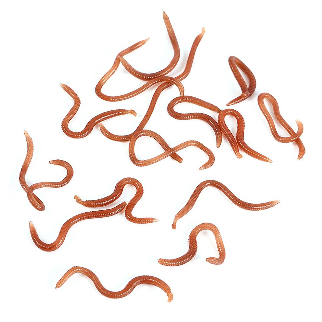 10cm Worm Shaped Fishy Smell Soft Fishing Lure Baits With Box For Fishermen