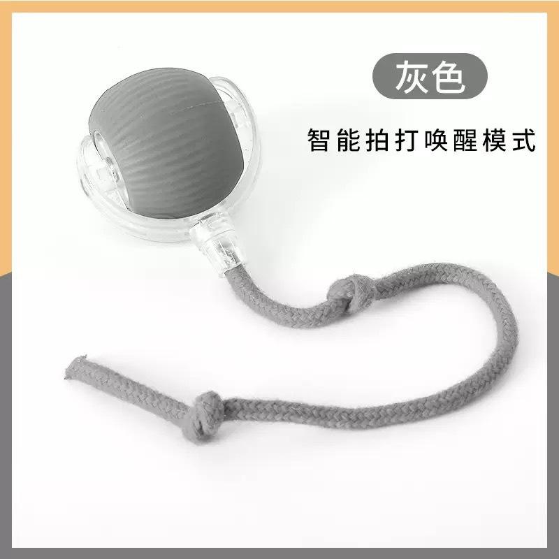 Smart Interactive Pet Ball Toy For Cats And Dogs