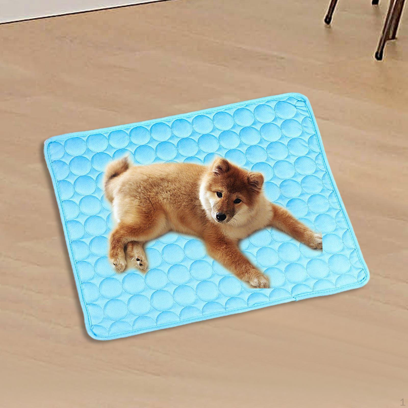 Chill Pup Cooling Mat - Ideal Resting Spot for Your Pet blue S
