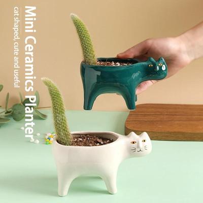 Pot de fleurs de chat de dessin animé, jardinière succulente avec Drainage, Pot de fleurs en céramique