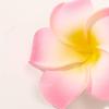 Boho-Stil Blumen Haarspangen - Alligator-Haarspangen mit leuchtend pinkfarbenen und weißen Frangipani-Blüten, perfekt für ungezwungene Ausflüge und den Valentinstag