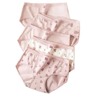 5Pcs/set Women Panties Sexy Cotton Underwear Girls Cute Printed Intimates Plus Size Briefs Lady Underpants