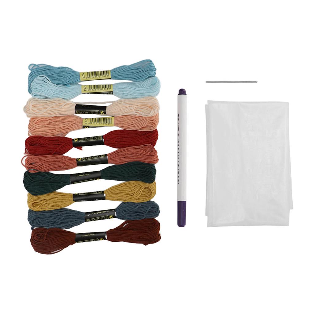 Embroidery Floss Kits 10 Bright Colors Good Toughness Easily Use Embroidery Thread for Bracelets Tassels DIY