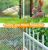 Haushalts-Kunststoff-Schutznetz, Balkon-Absturzsicherungsnetz, Geflügelzucht, Garten-Kunststoff-Schutznetz
