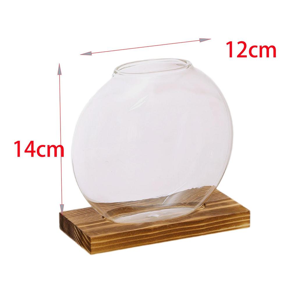 Glass Planter Terrarium Plants Propagation Station Transparent Flower Vase for Indoor Plants Office Party Living Room Garden