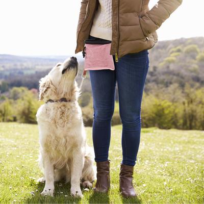 Hunde – Zubehör für Hundetraining & Erziehung
