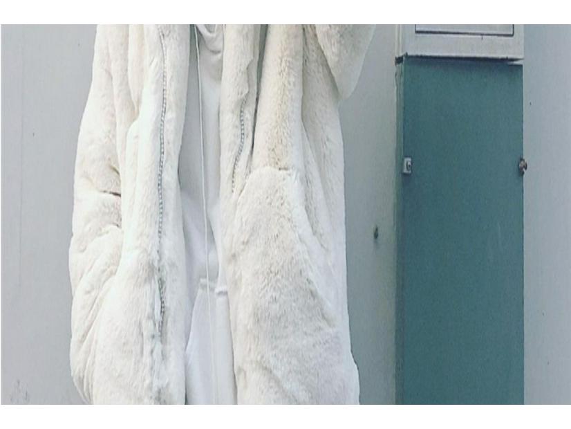 Women's Winter 2024 Hooded Coat - Loose Medium-Length, Thick Imitation Rex Rabbit Fur