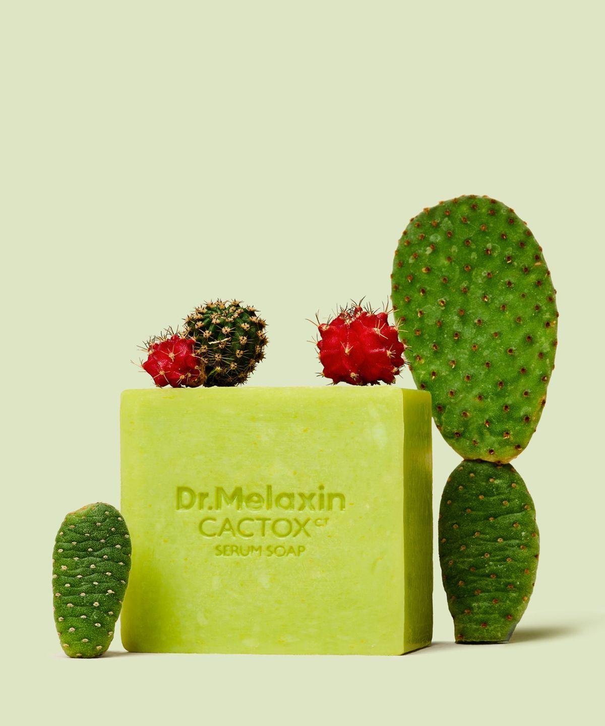 Cactox Relief Serum Soap
