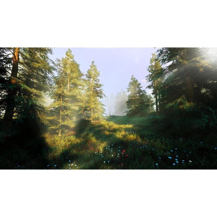 Jeu Nintendo Switch - Hunting Simulator 2 - Aventure - Bigben - En boîte