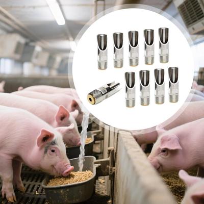 Pájaros – Alimentación y suministros de riego