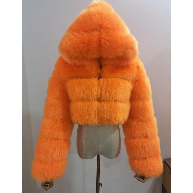 Fur Autumn and Winter New Imitation Fur Warm Hooded Fur Coat Women