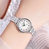 Niche Women'S High-Value Steel Belt Watch, Small And Light Luxury Birthstone Women'S Watch, Waterproof Fashion Quartz Watch